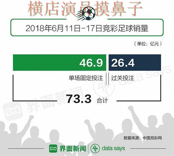 世界杯投注网站大全汇总报告：访问方式与实际体验总结 - 世界杯数据